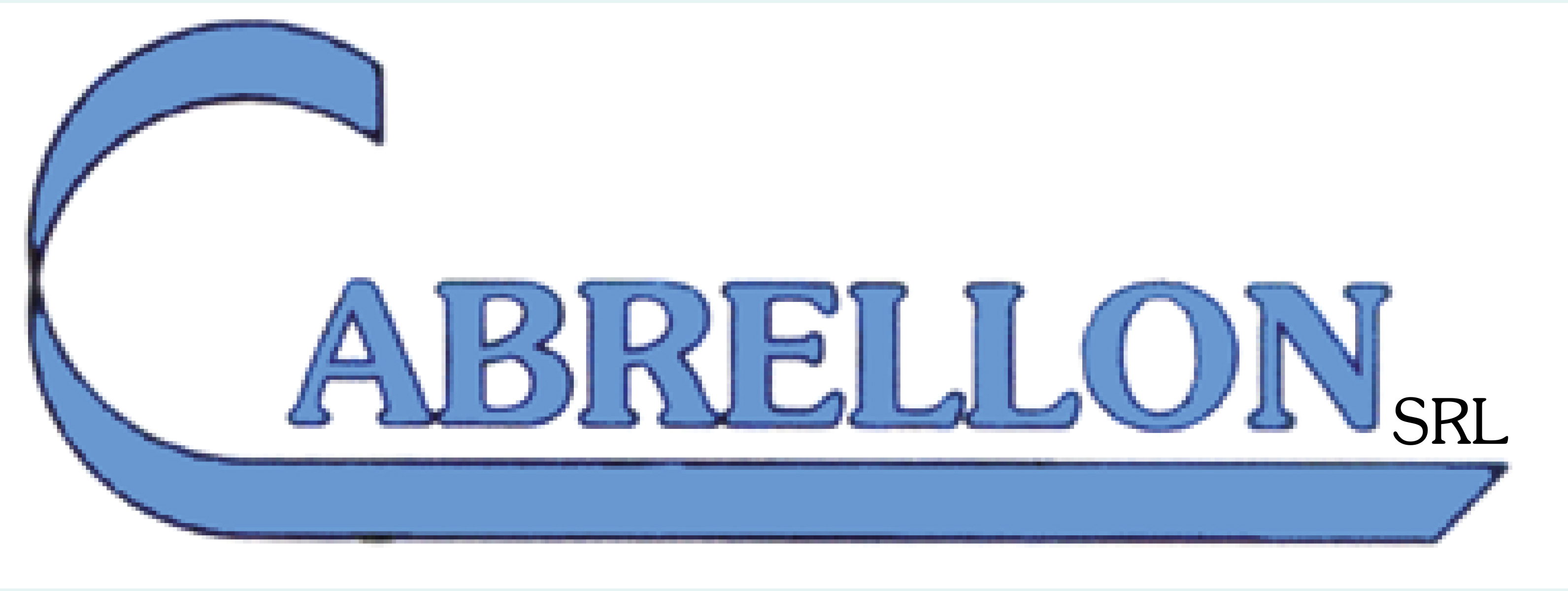 Logo partner